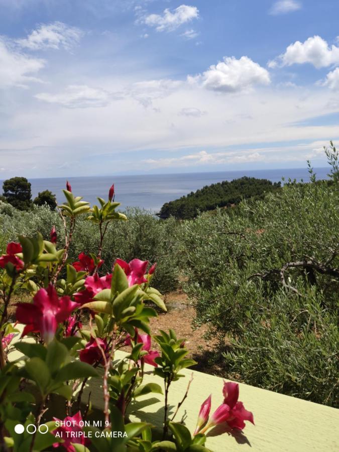 Elia House 1 Astoning Sea View Among The Olive Trees Apartment Patitiri  Exterior photo
