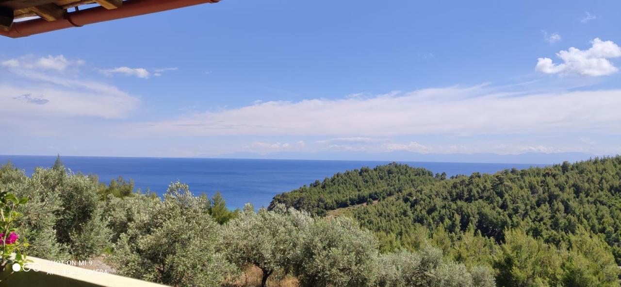 Elia House 1 Astoning Sea View Among The Olive Trees Apartment Patitiri  Exterior photo