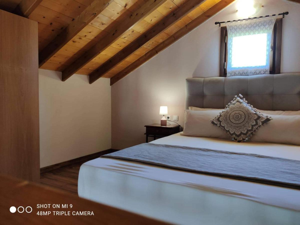 Elia House 1 Astoning Sea View Among The Olive Trees Apartment Patitiri  Exterior photo
