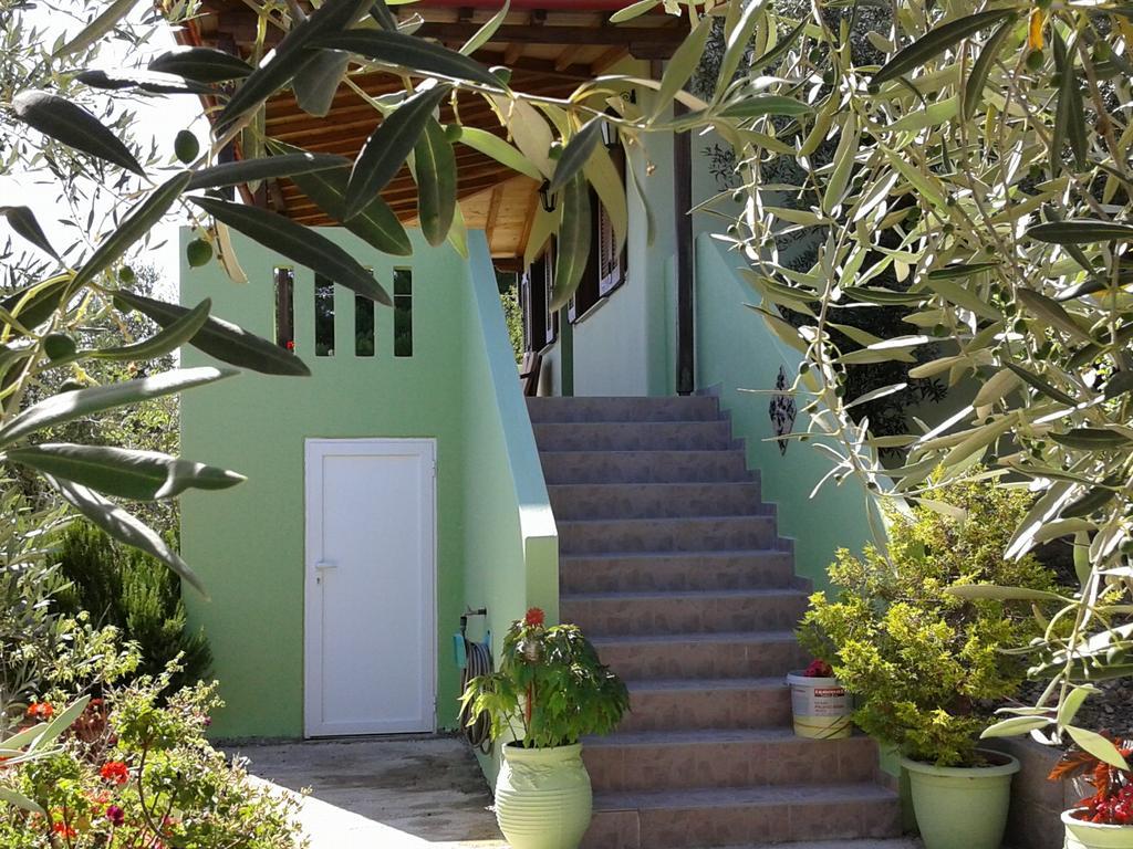 Elia House 1 Astoning Sea View Among The Olive Trees Apartment Patitiri  Exterior photo