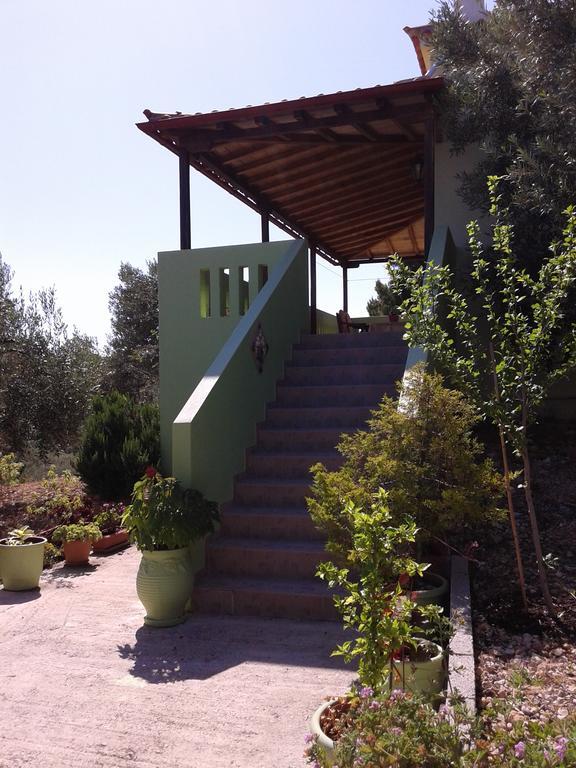 Elia House 1 Astoning Sea View Among The Olive Trees Apartment Patitiri  Exterior photo